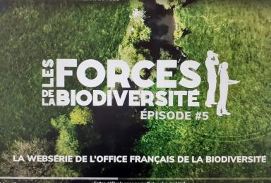 Les forces de la biodiversité